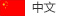 中(zhōng)文